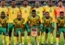 Ziyagagana kwakhona ezazike zangquzulana ngeNdebe yeHlabathi ka-2010 eMzantsi Afrika