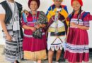 Ulwimi Lwasekhaya, Ulwimi Lwentliziyo: Kutheni Ulwimi Lwenkobe Lubalulekile Emfundweni