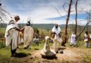 Imvelaphi Neentsingiselo Zeziduko ZakwaBhele