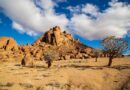 IRichtersveld: Ilifa Eliphilayo leNama phakathi kweNkcubeko neNdalo